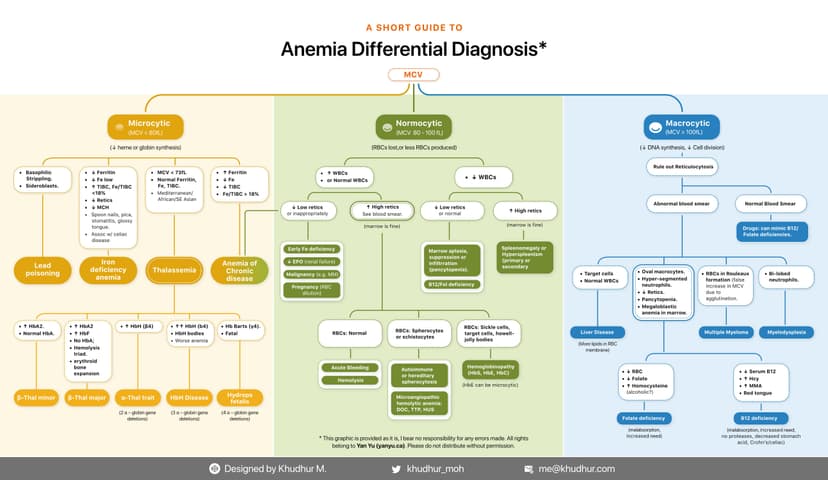 Anemia: differential diagnosis