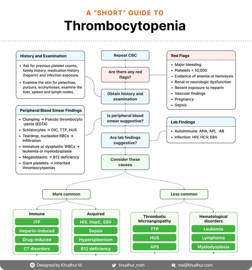 Thrombocytopenia: differential diagnosis